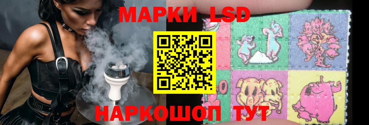 ЛСД экстази кислота  ЛСД экстази кислота  Вход с VPN  Камышин 