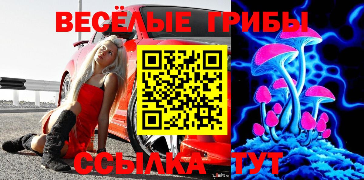 Псилоцибиновые грибы Magic Shrooms Камышин
