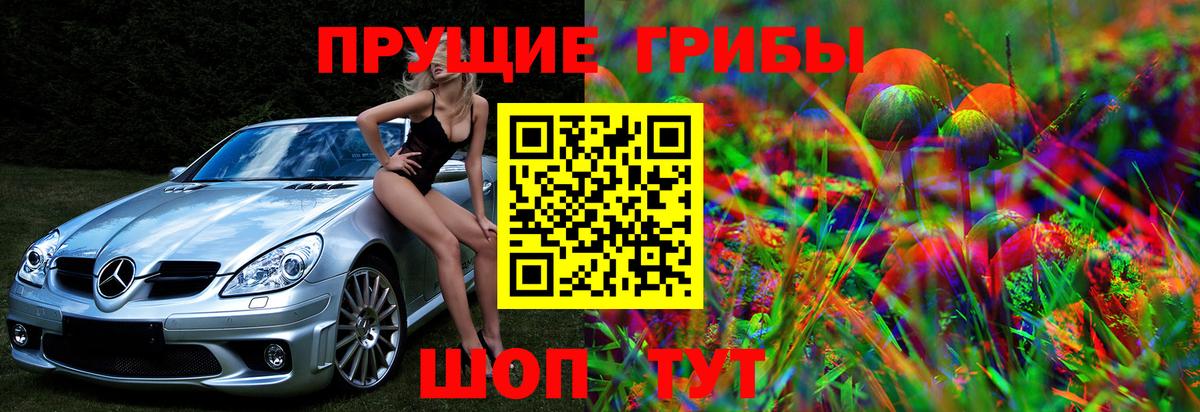 Галлюциногенные грибы GOLDEN TEACHER  Вход с VPN  Камышин 